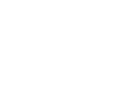 Suzuki Sol
